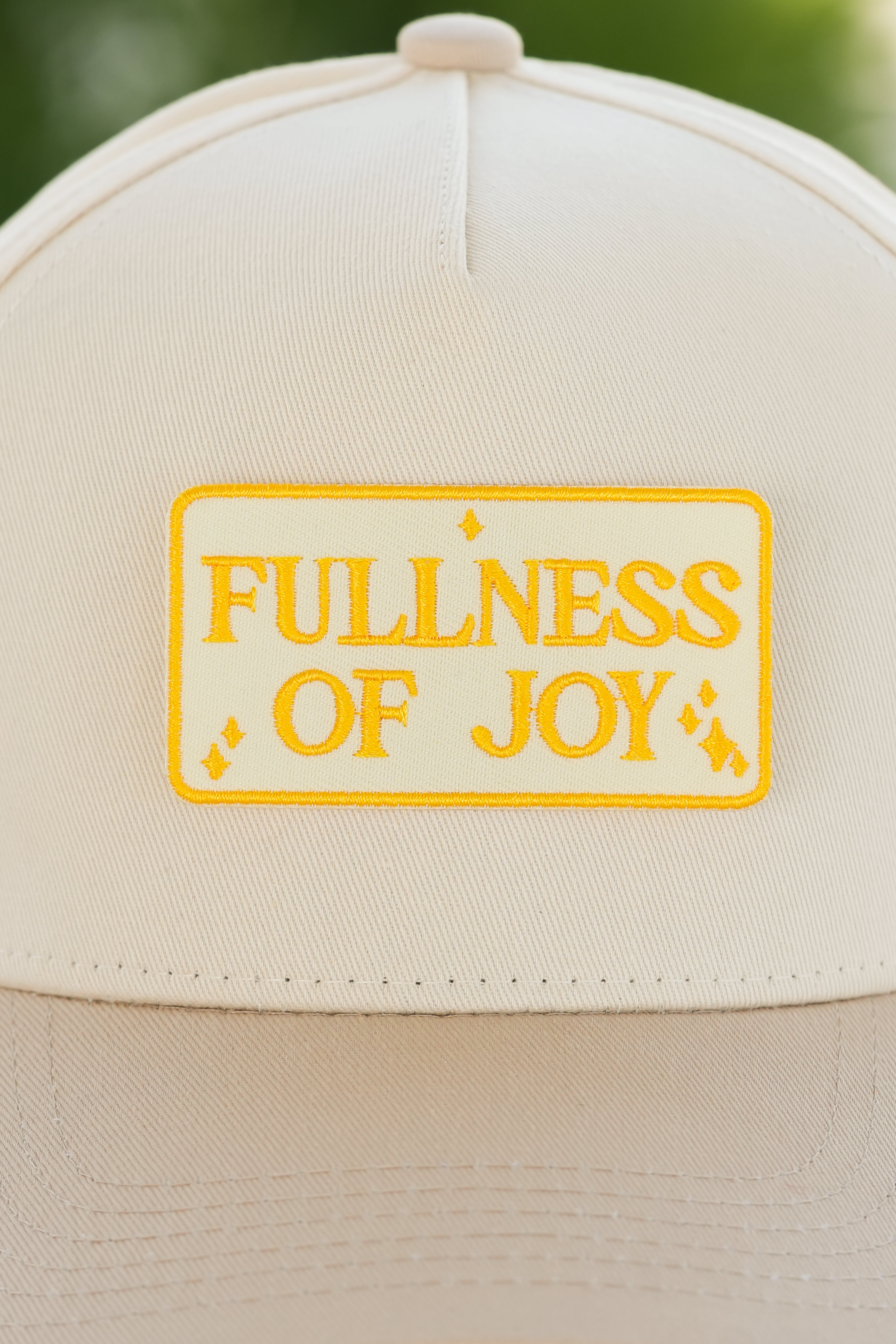 Fullness Of Joy
