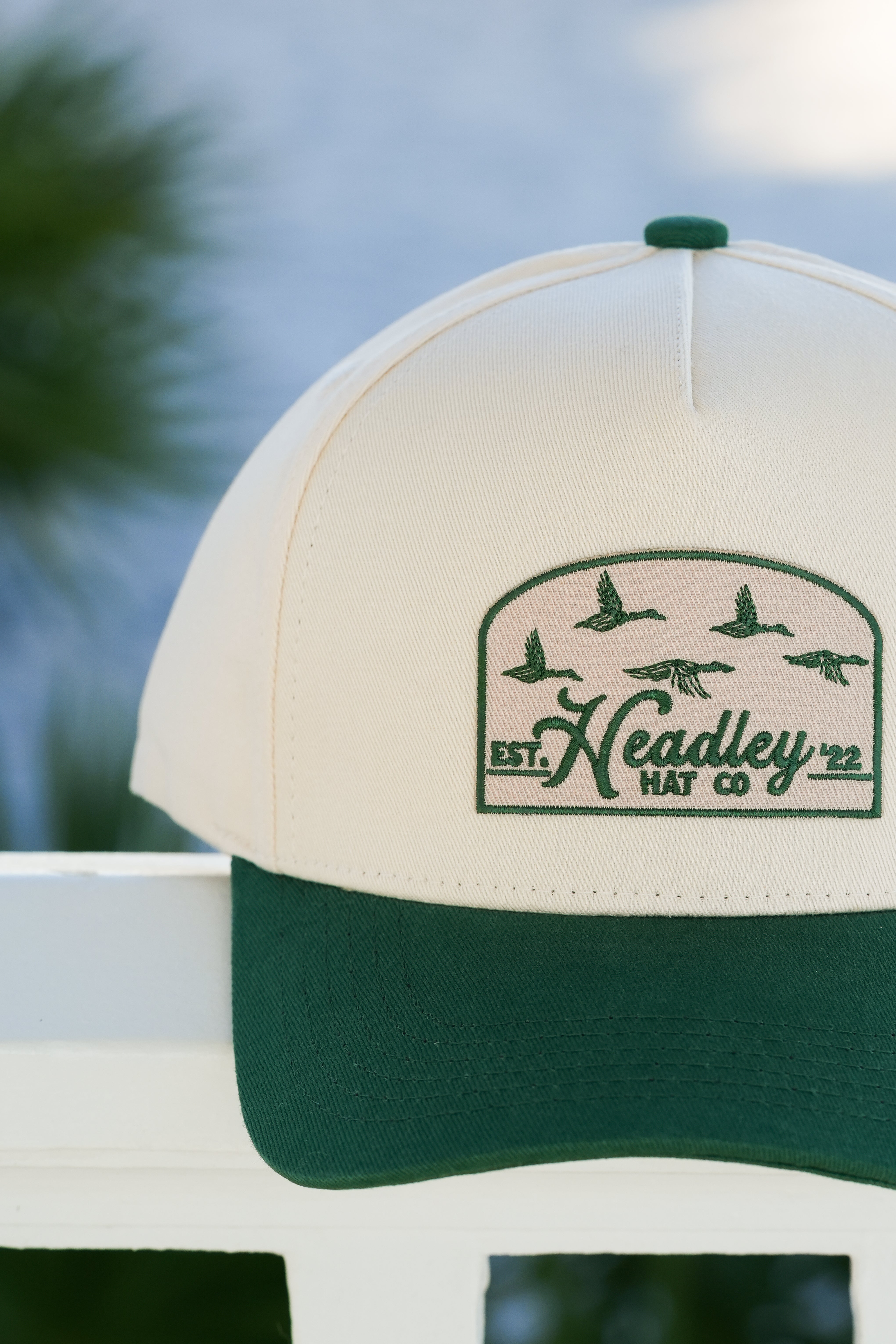 Headley Duck Hunting